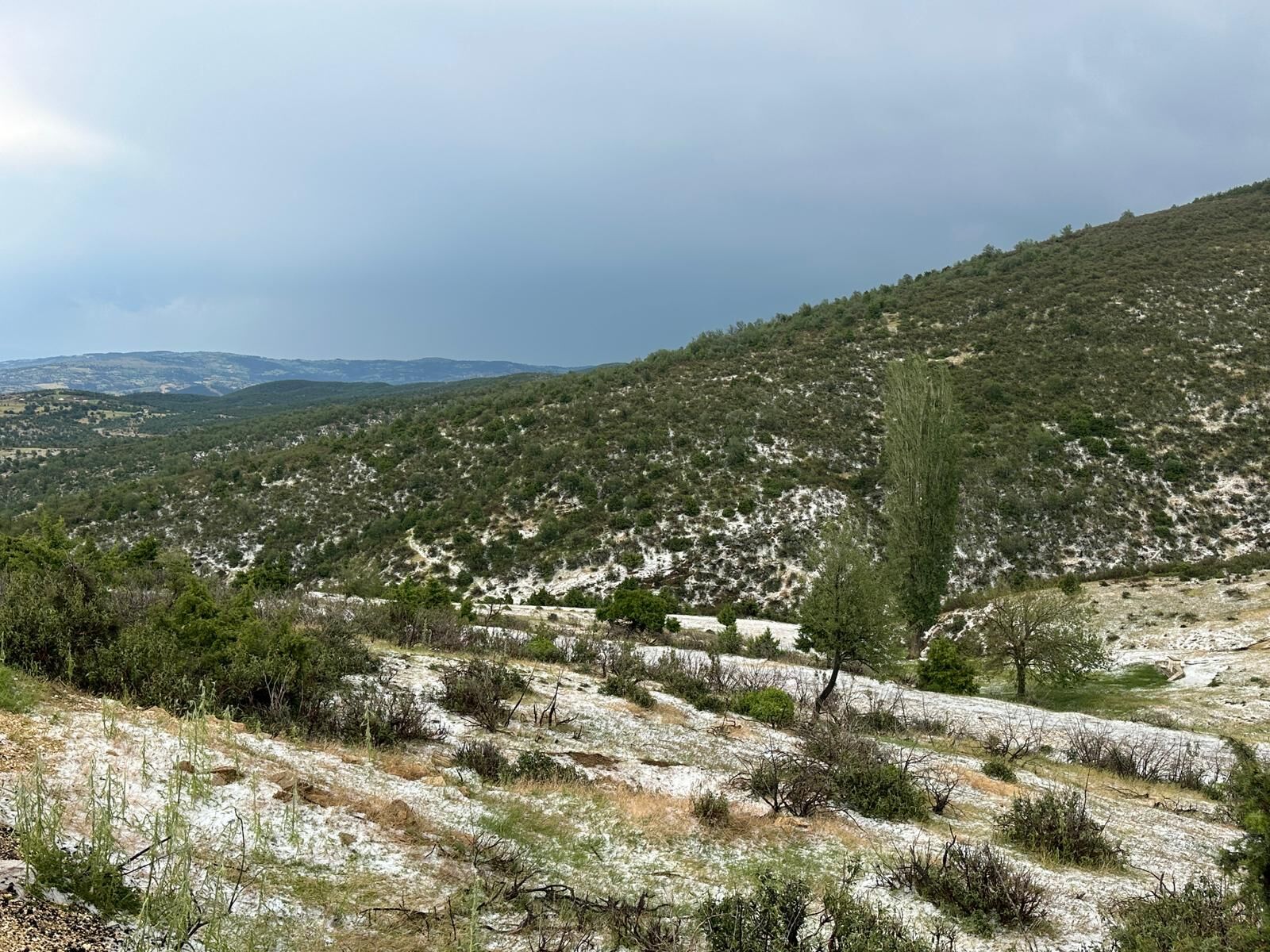 Dolu (1)