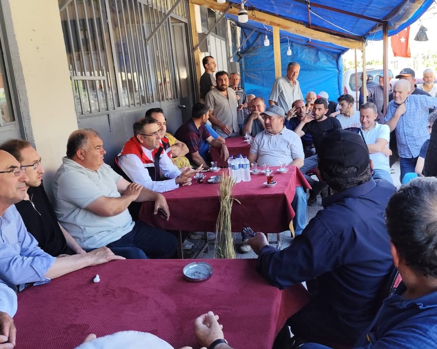 Dolu Afeti 1