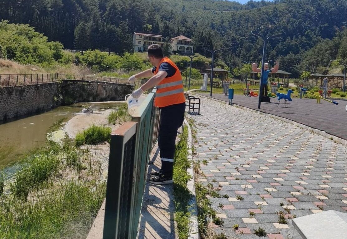 Gediz 1