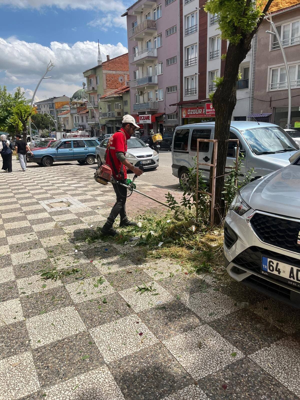 Karaağaç 4