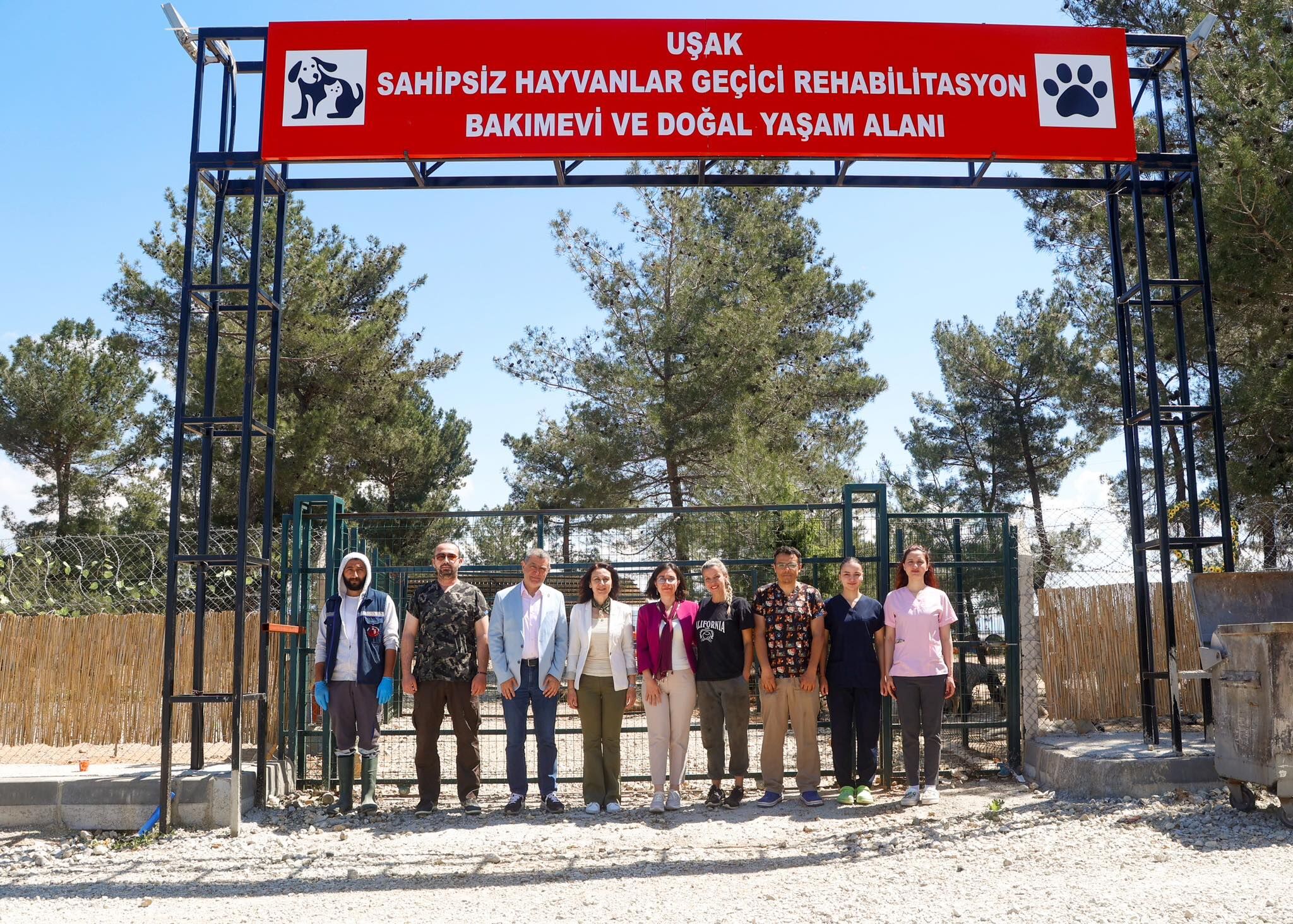 Sahipsiz Hayvan 3