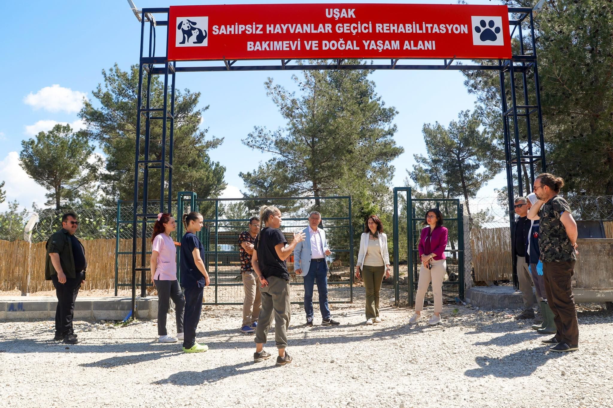 Sahipsiz Hayvan 4