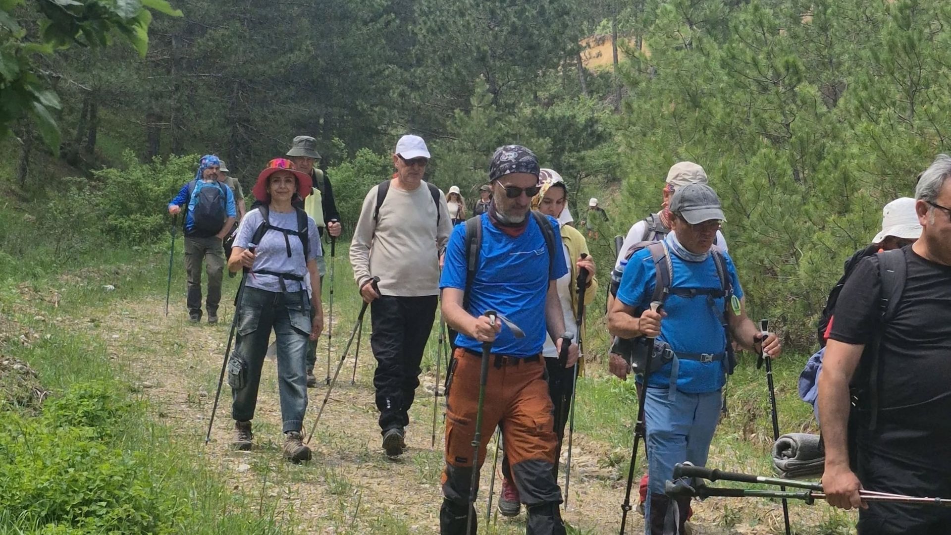 Topğal Dağcı