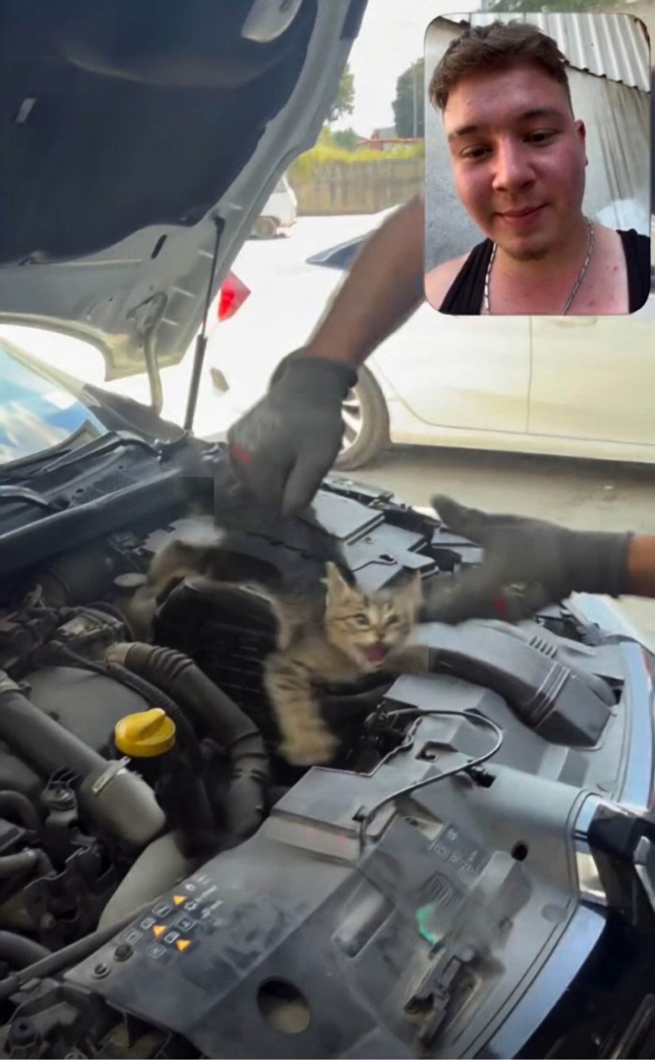 Uşak'ta Tamir İçin Gelen Otomobilden Kedi Çıktı! İlginç Anlar Kameraya Yansıdı
