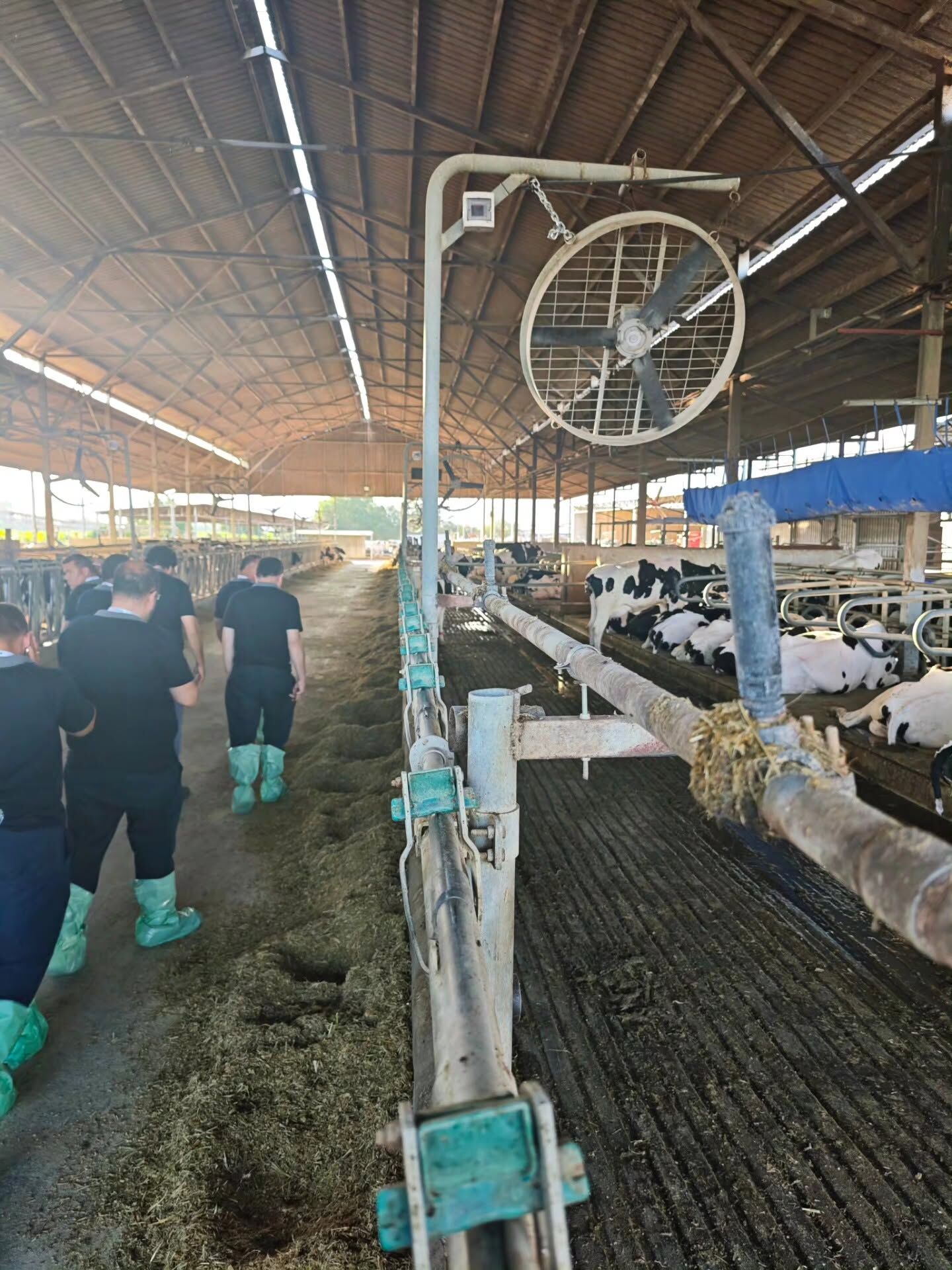 Veteriner Hekimliği