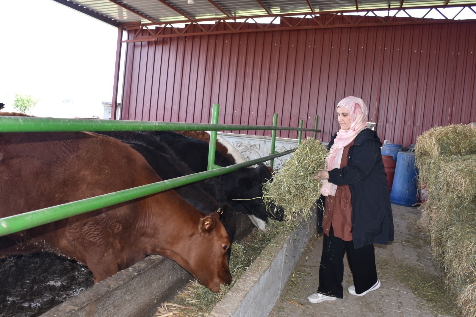 Yaşam (2)