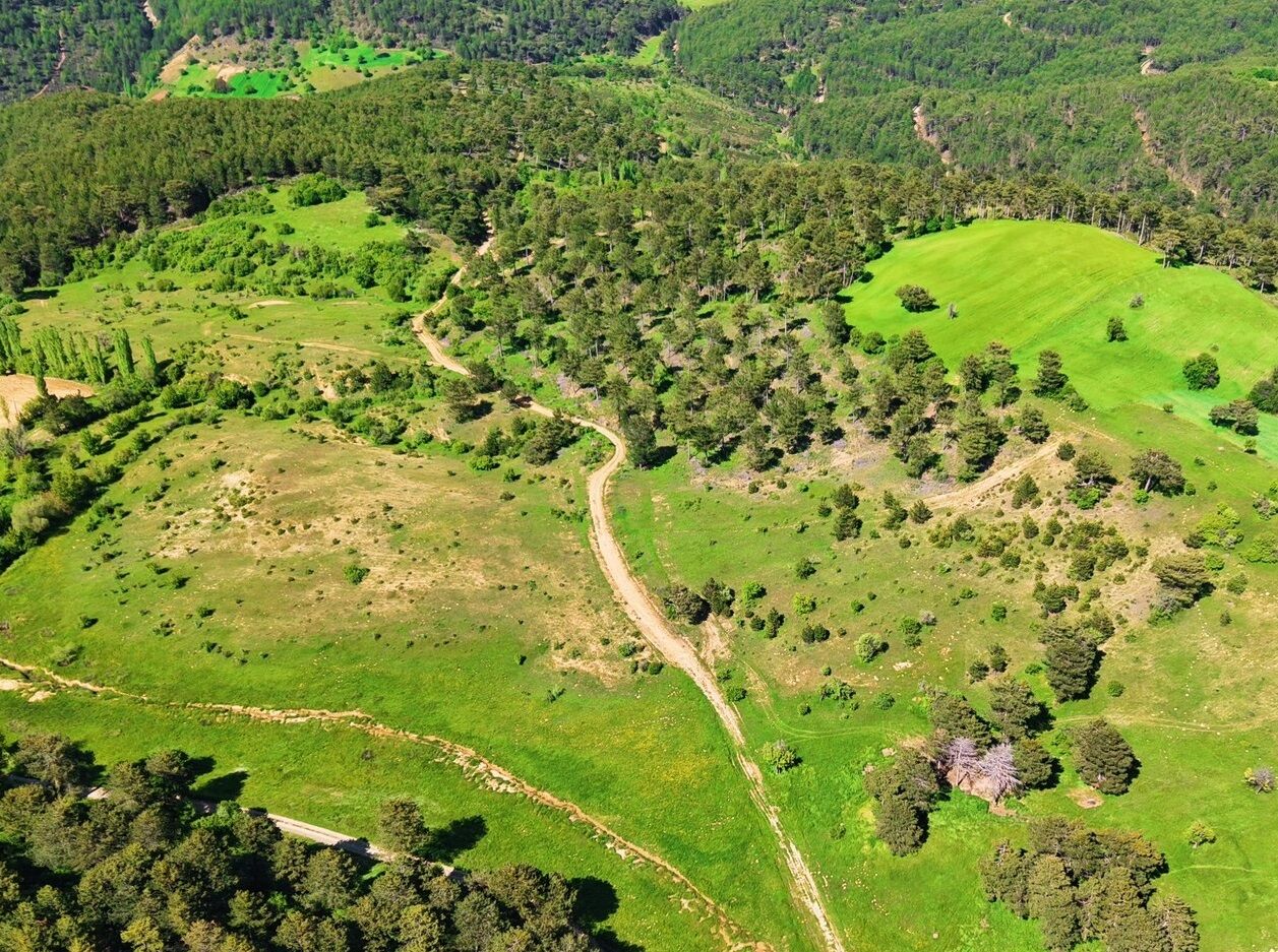 Yeşil Deniz (2)