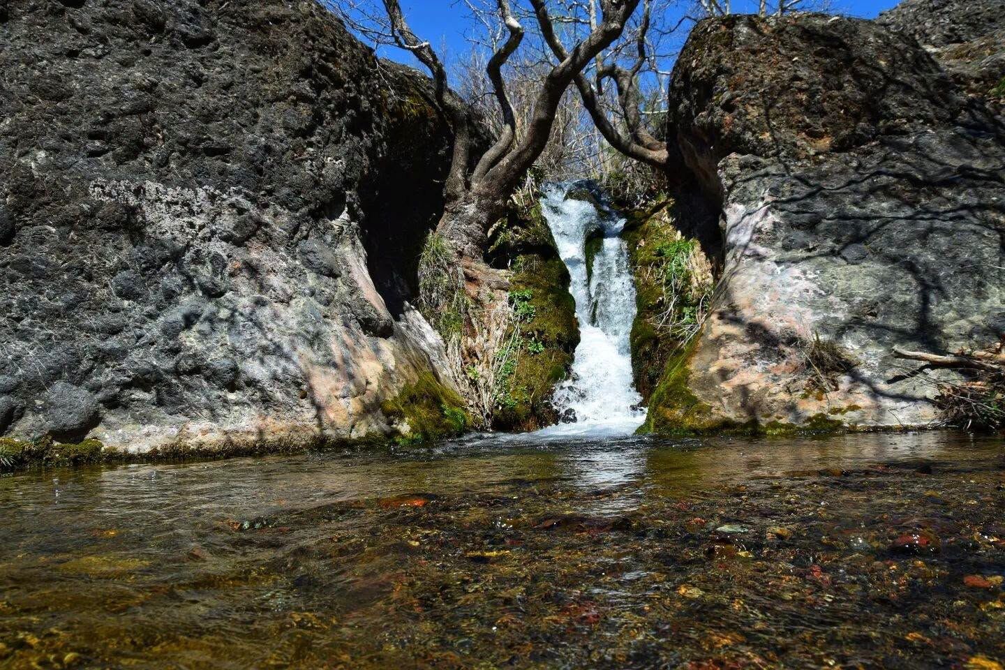756441099 2036230666987165 6166394341281099866 N