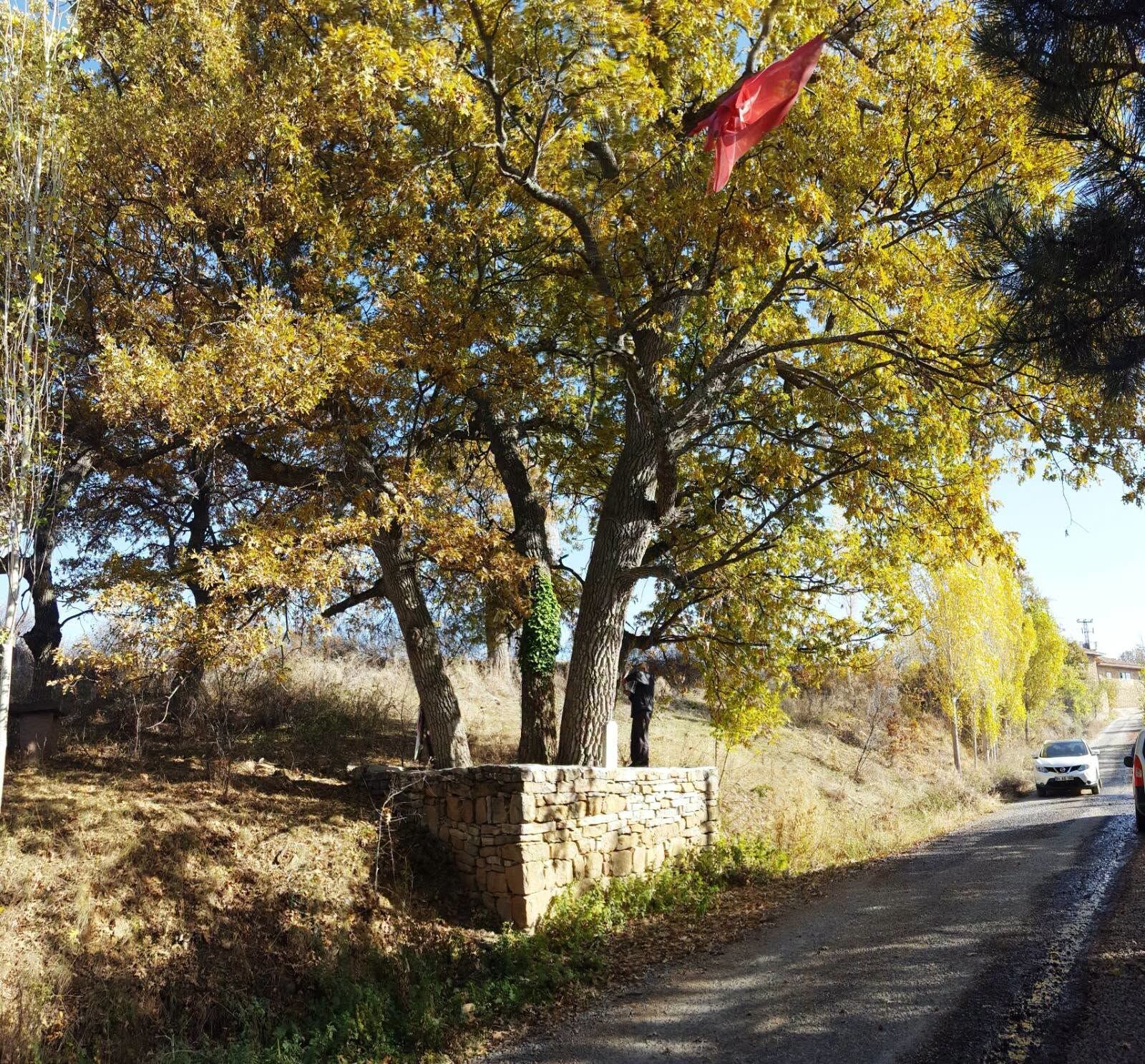 Alp Arslan Dur (1)-5
