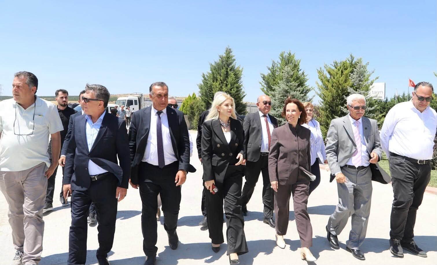 Altıntaş (3)
