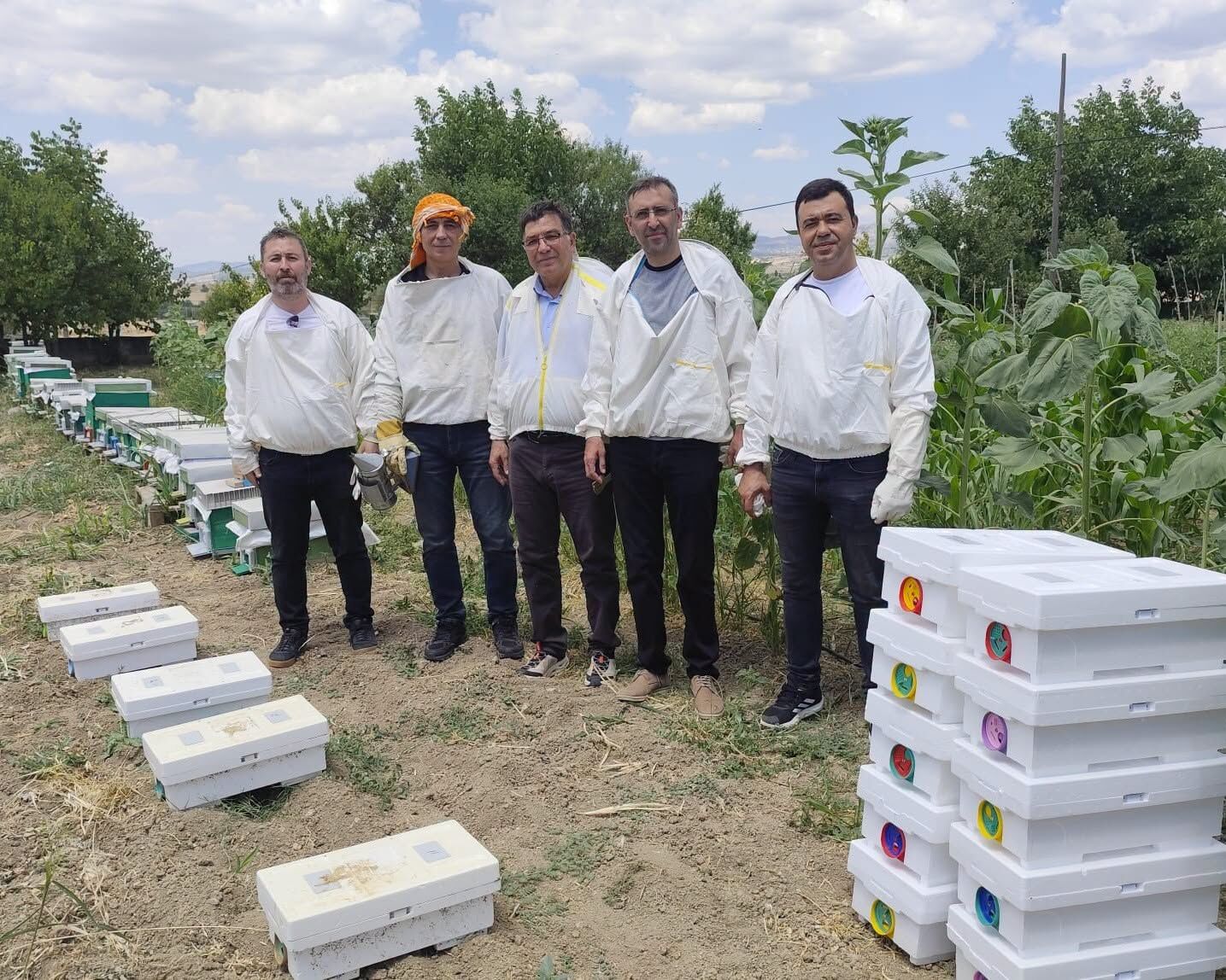 Arıcılık (3)