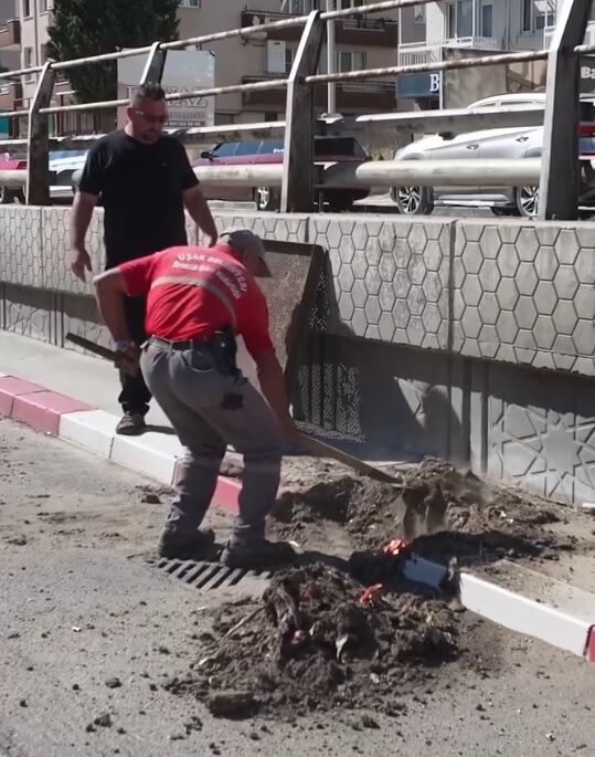 Belediye (1)-5