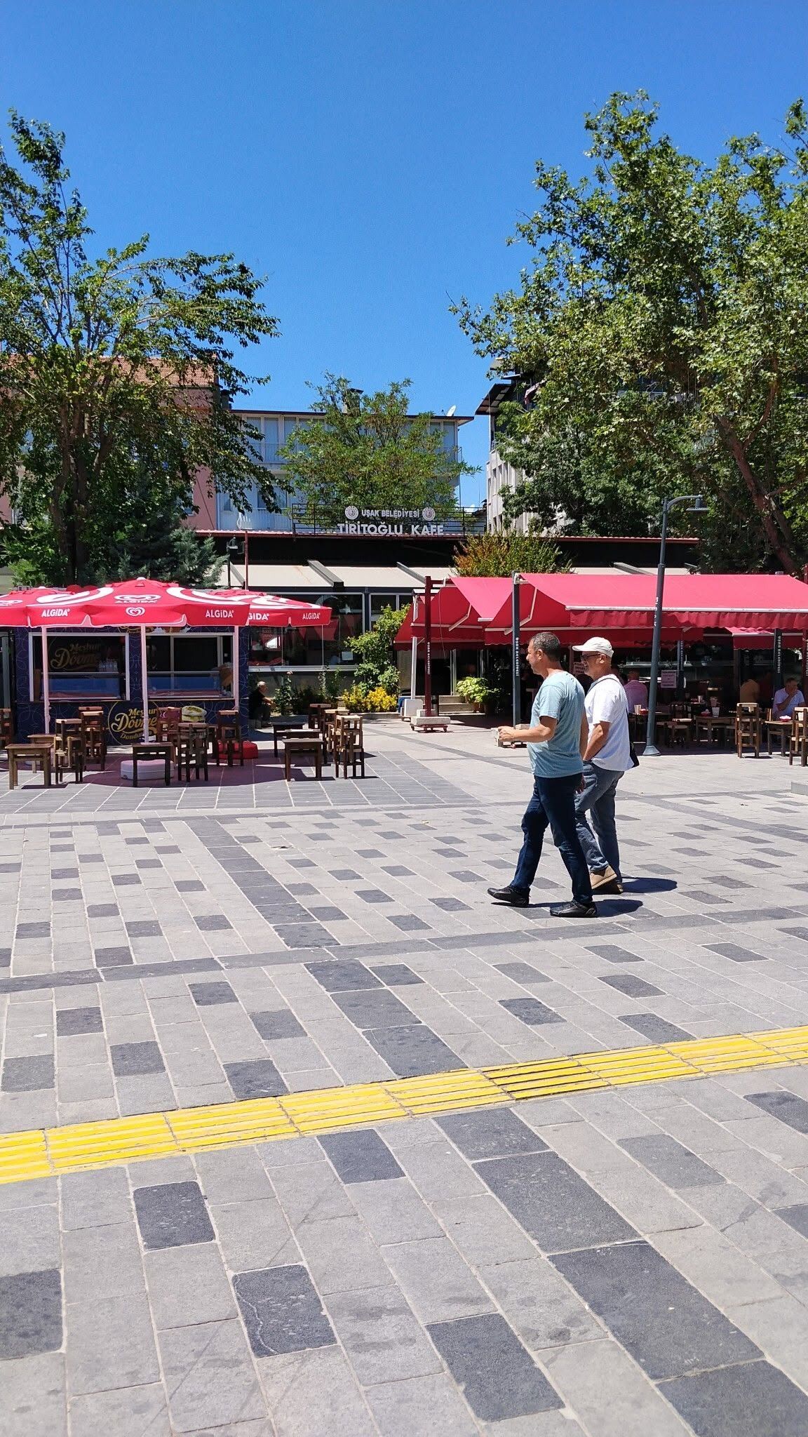 Çay Tepki (2)