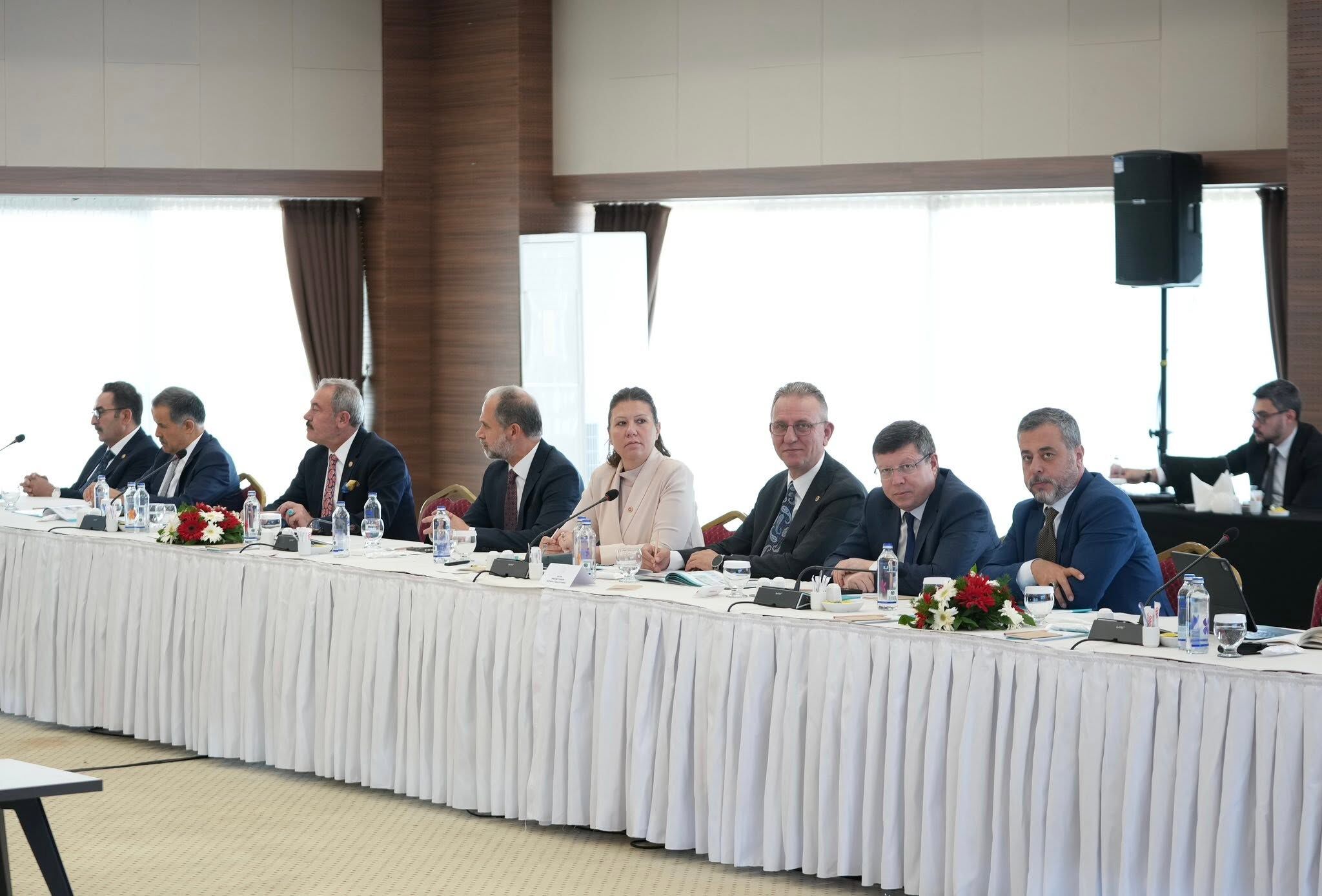Eğitim 3-1
