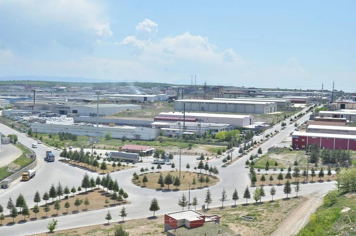 Ges (5)