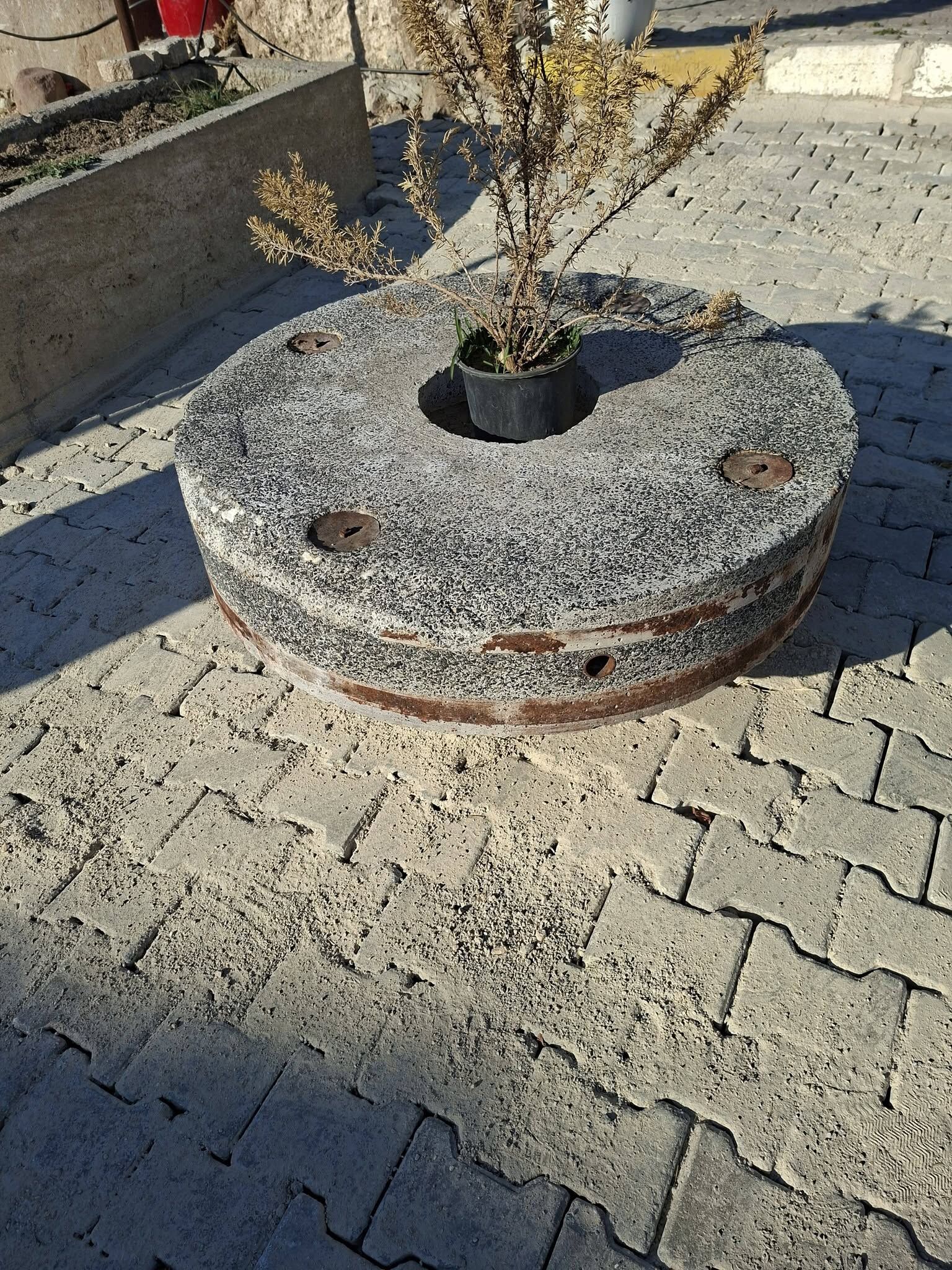 Ilyaslı (4)