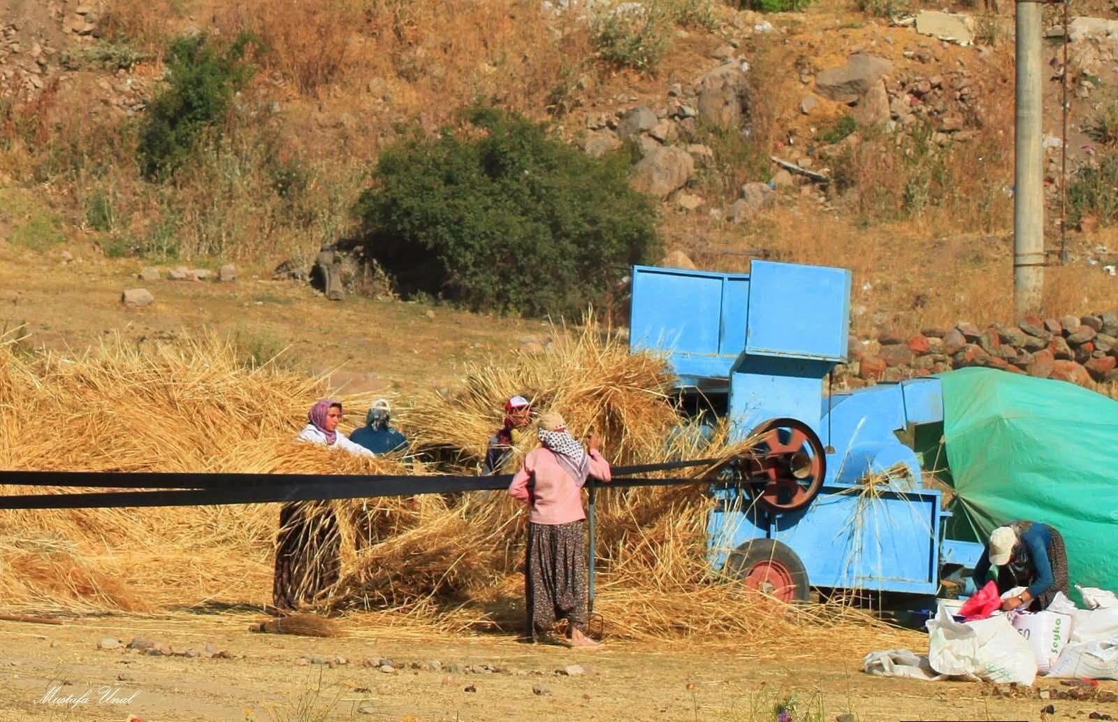 Kadınlar (1)-2