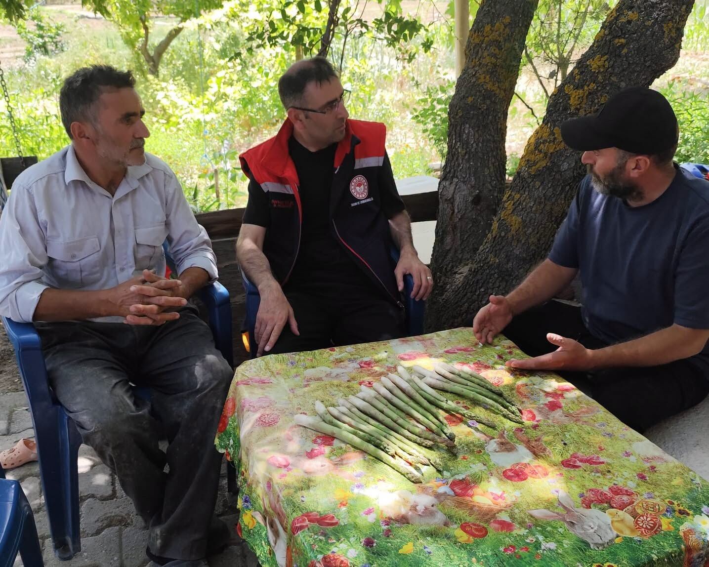 Kuşkonmaz (2)
