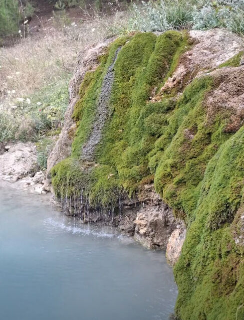 Olukpınar (1)