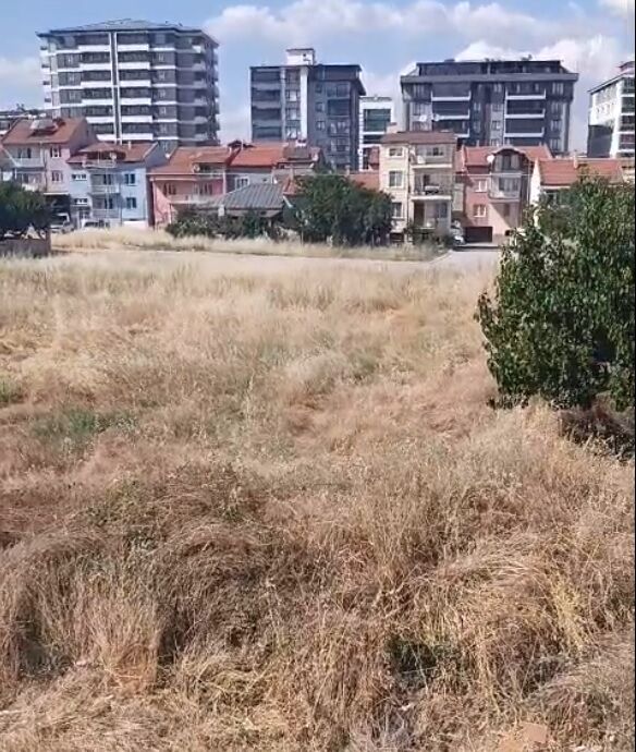 Şikayet1