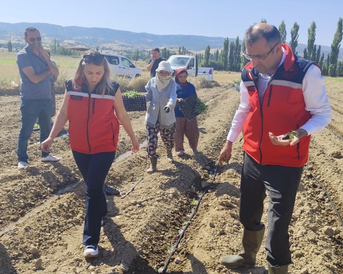 Sirgeli Köyü 1