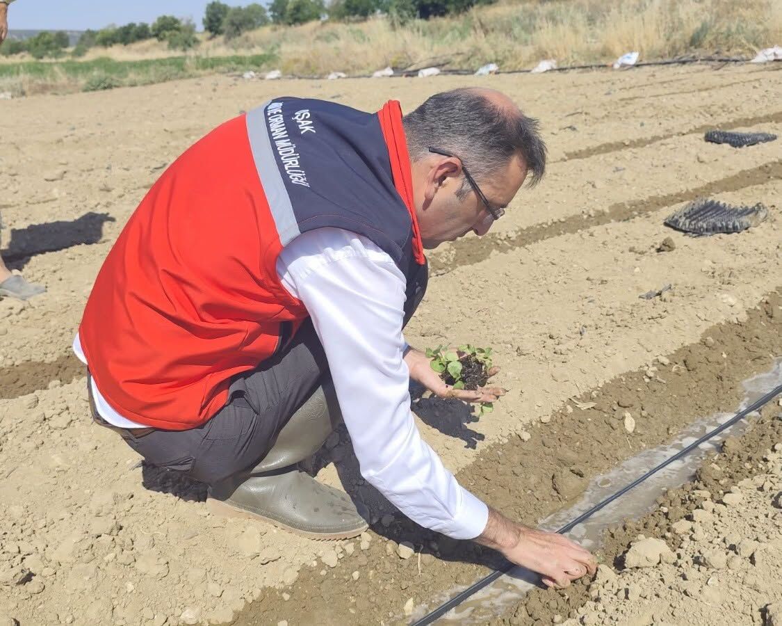 Sirgeli Köyü