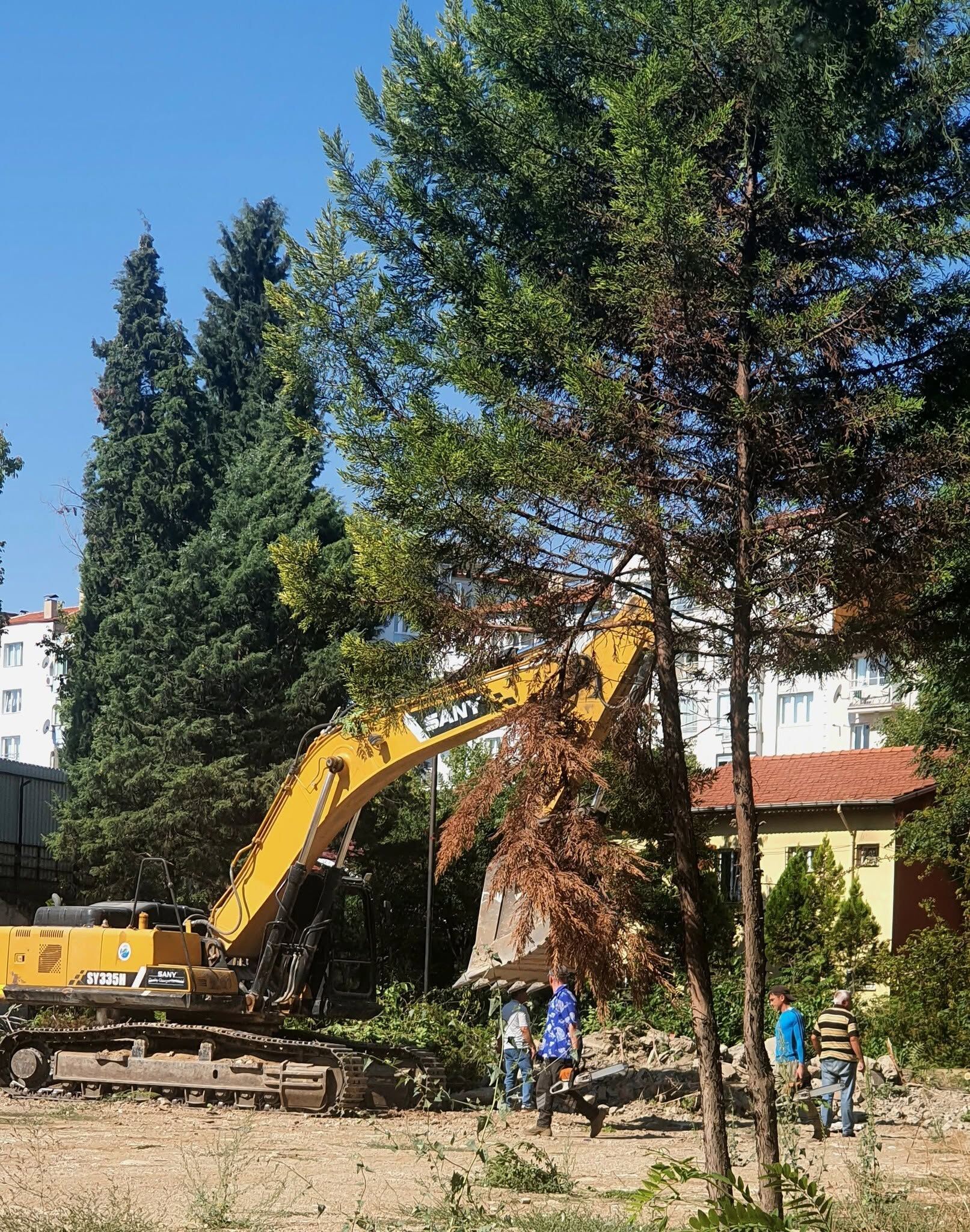 Ağaçlar-1