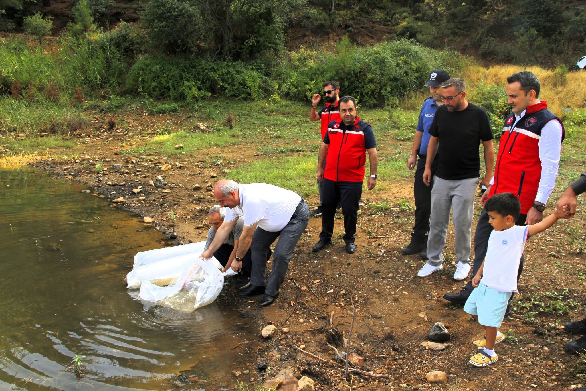 Balıklandırma (2)