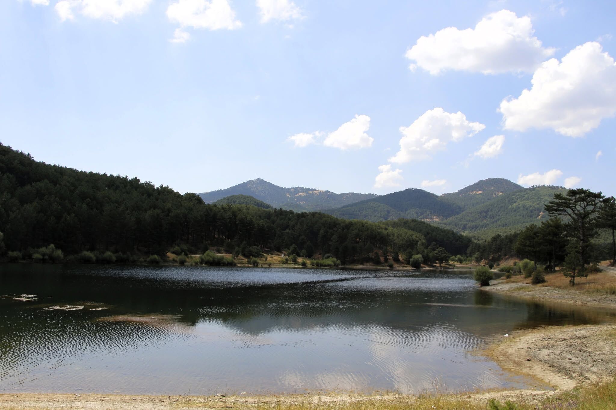Baltalı-1