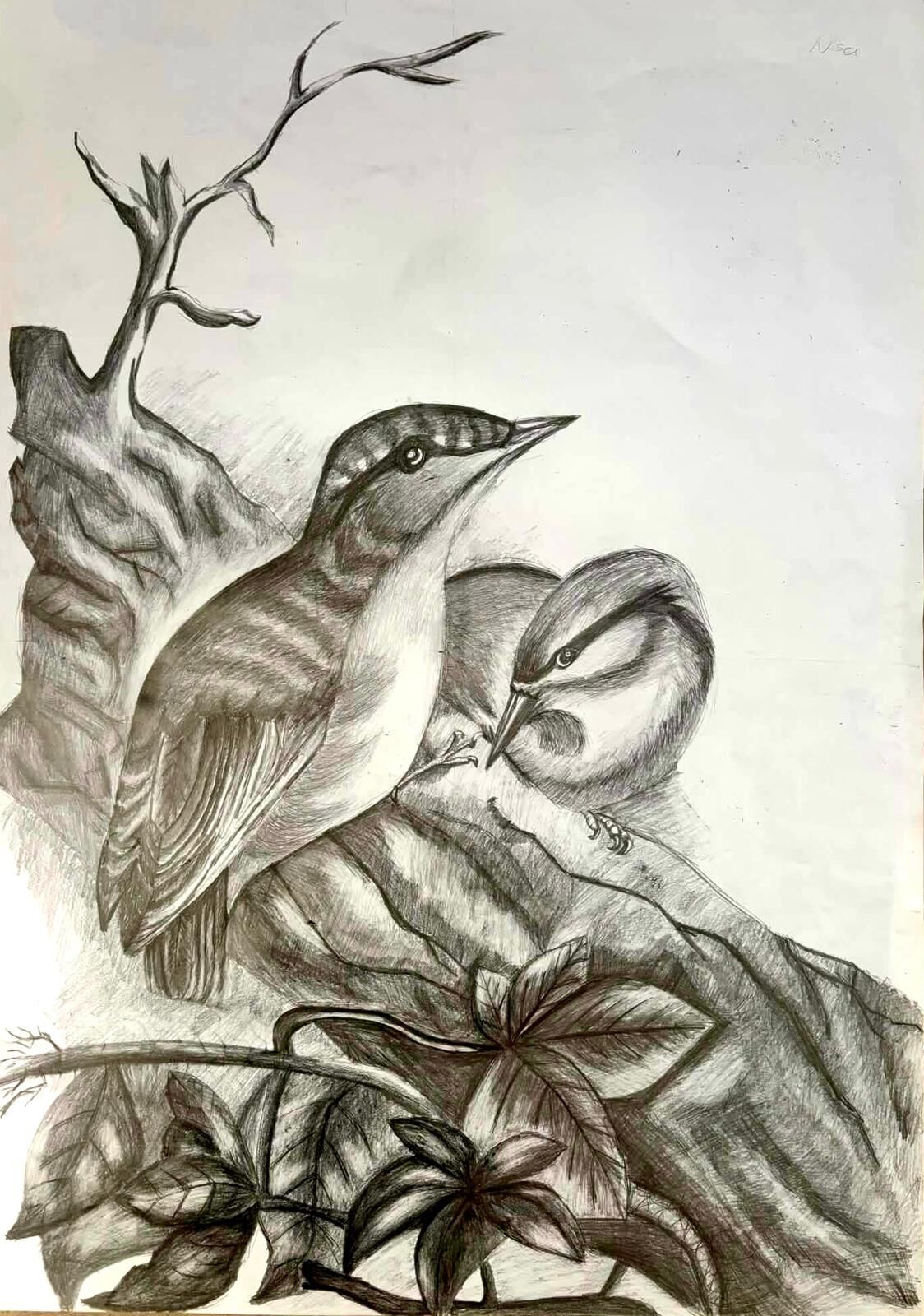 Bircan Demirtaş (3)-2