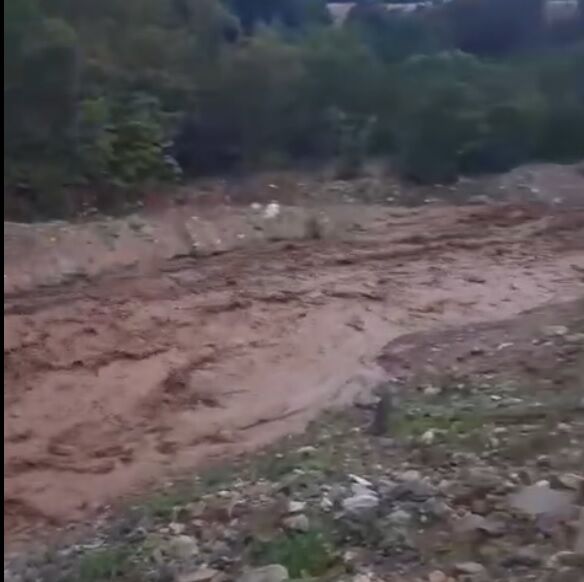Dereli (2)