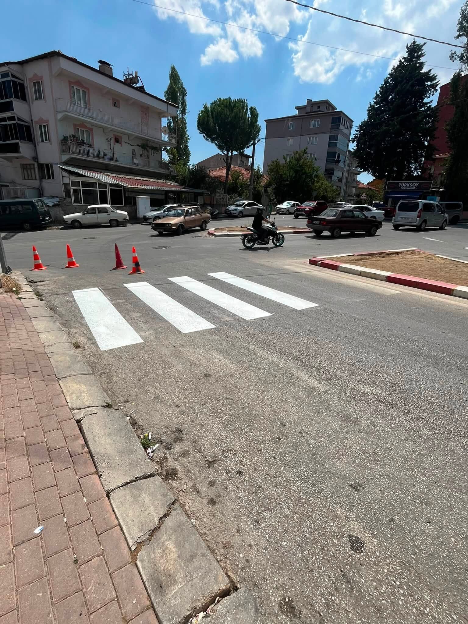 Karaağaç 6