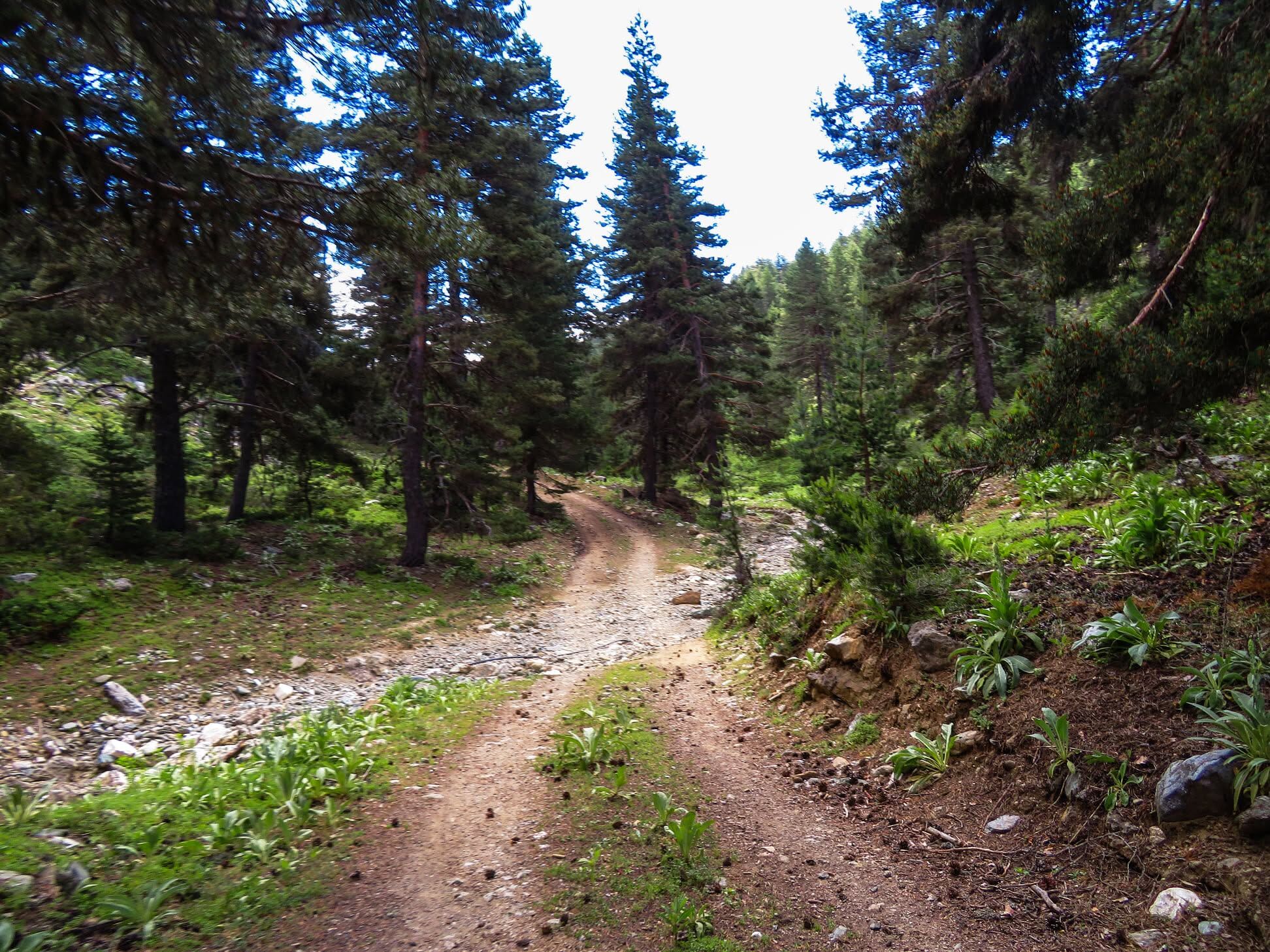 Muratdağı (4)-1
