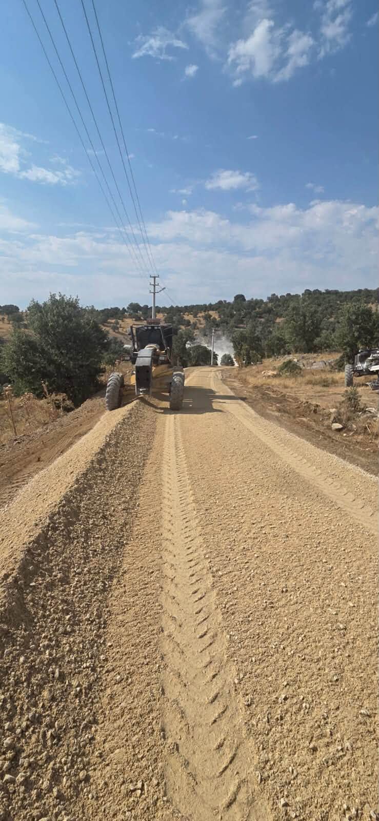 Selvioğlu 2