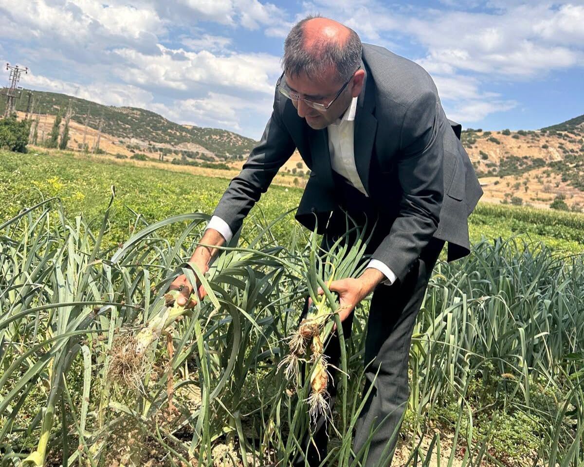 Tarım Küçükbaş 2