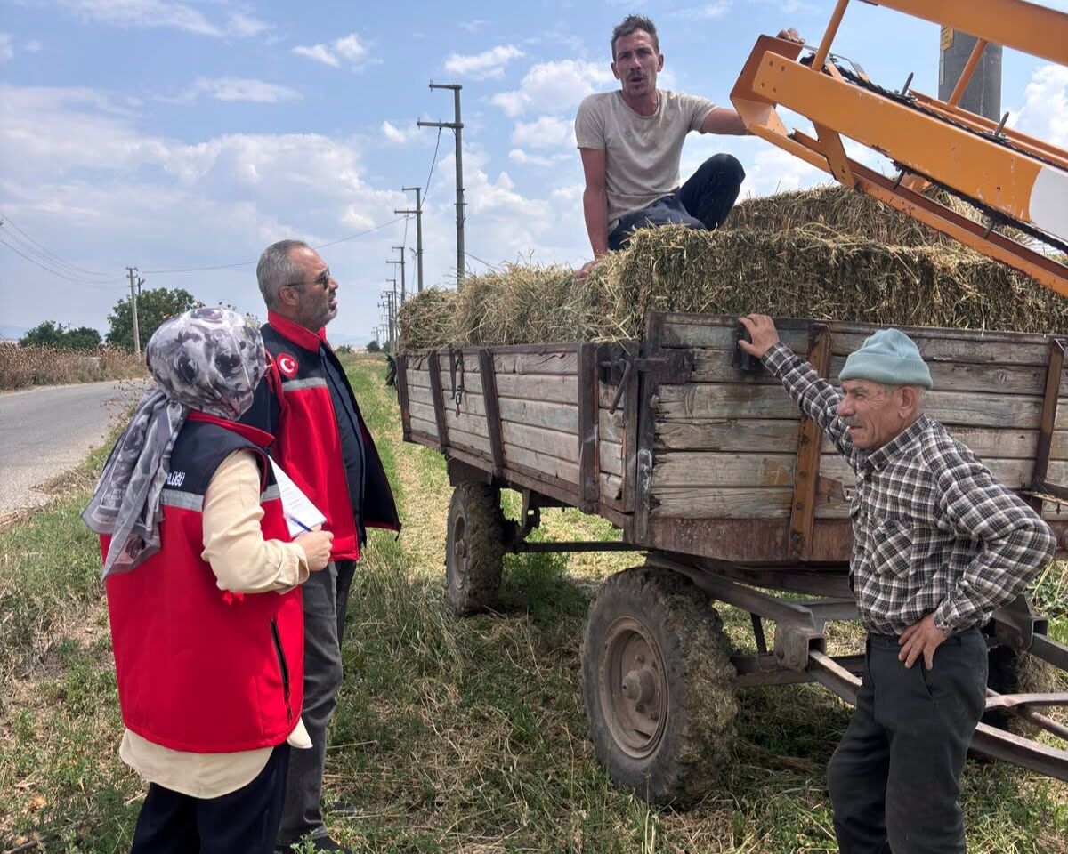 Tarımsal Üretim (3)
