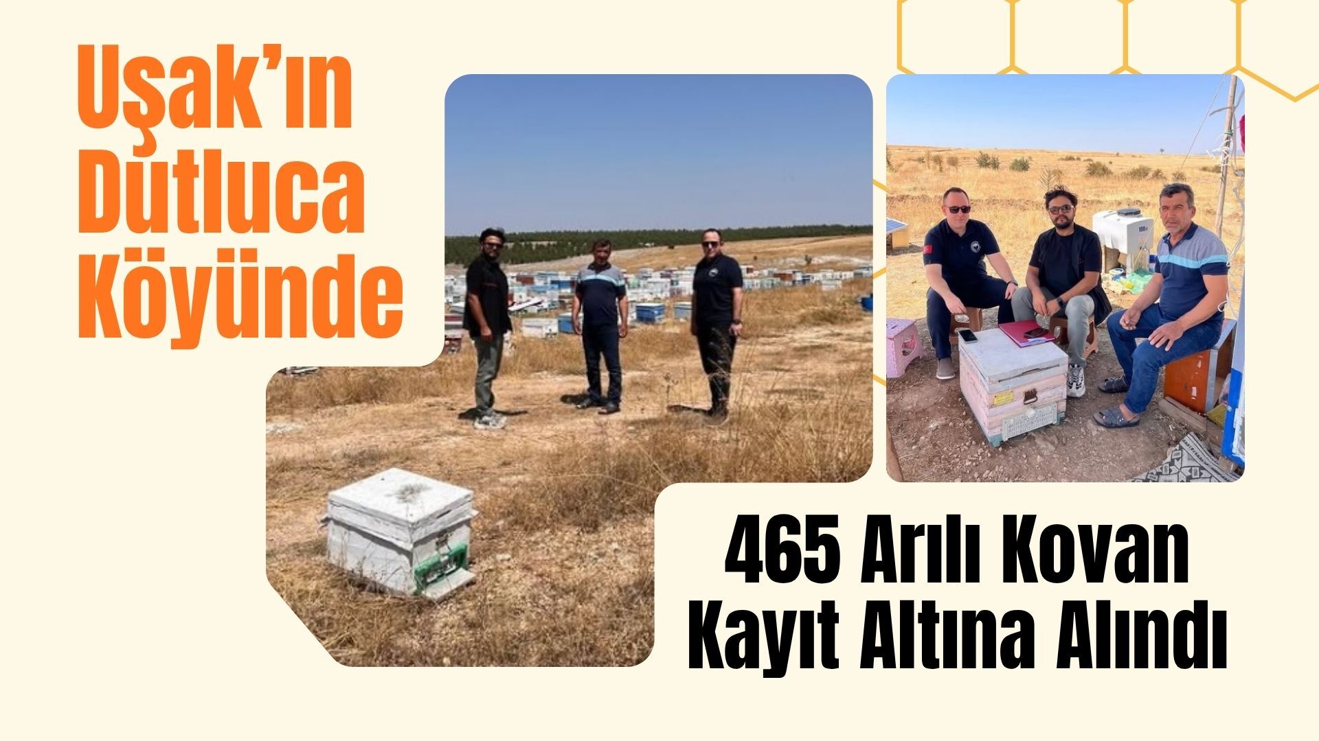 Uşak’ın Dutluca Köyünde 465 Arılı Kovan Kayıt Altına Alındı