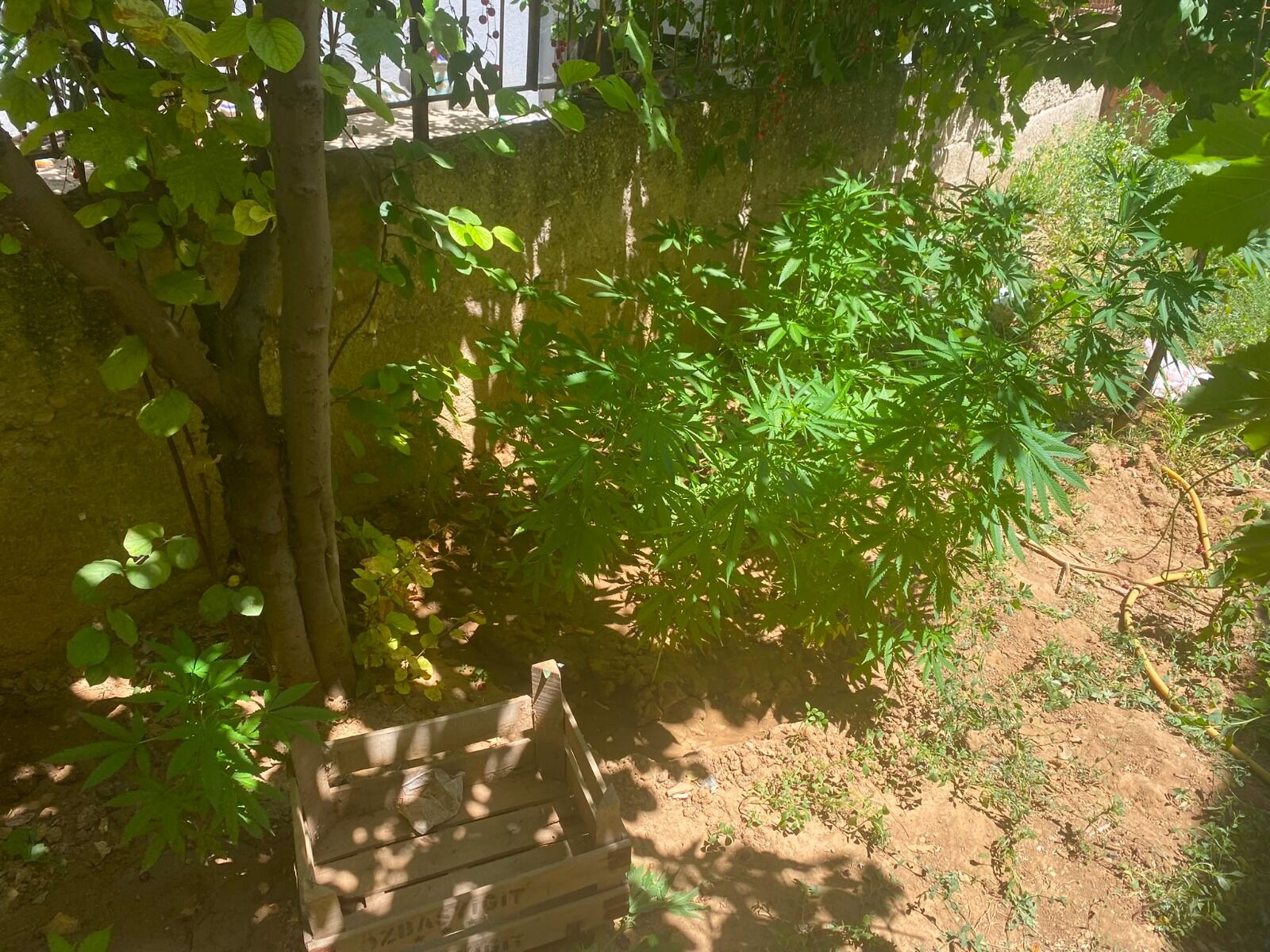 Whatsapp Image 2026 08 04 At 12.39.11 (4)