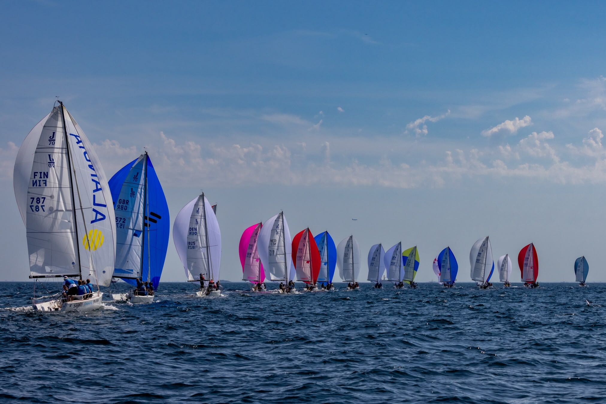 Yelken (2)