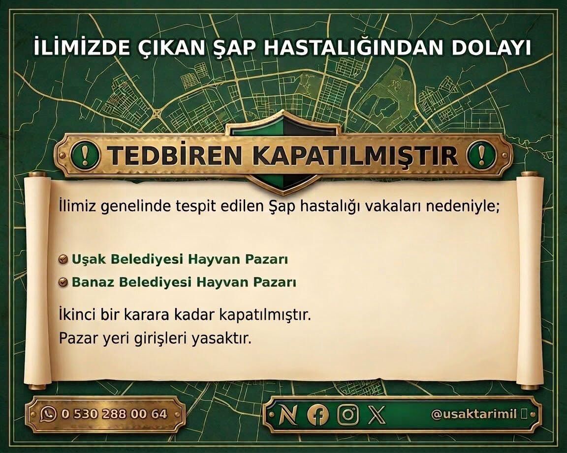 821138716 1509313717898833 4062150175650213891 N