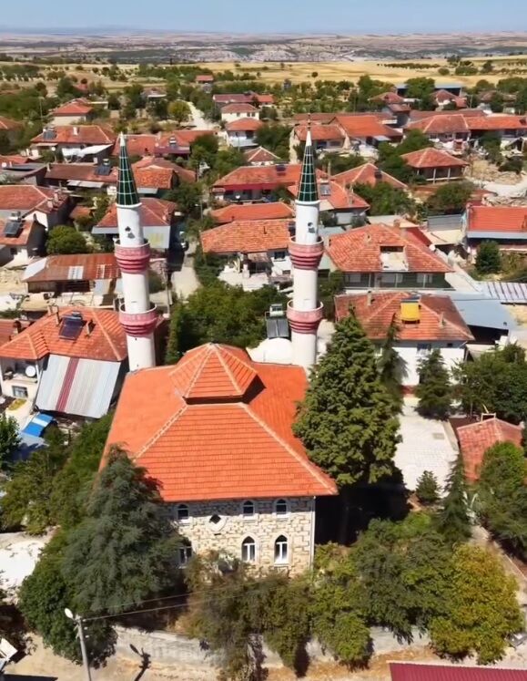 Dron (1)