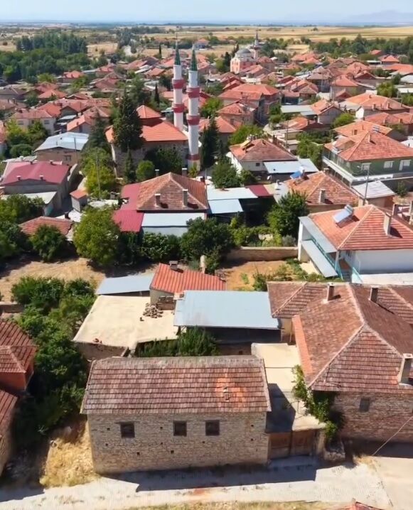 Dron (2)