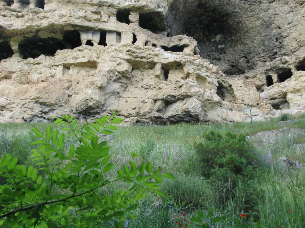Pepuza-7