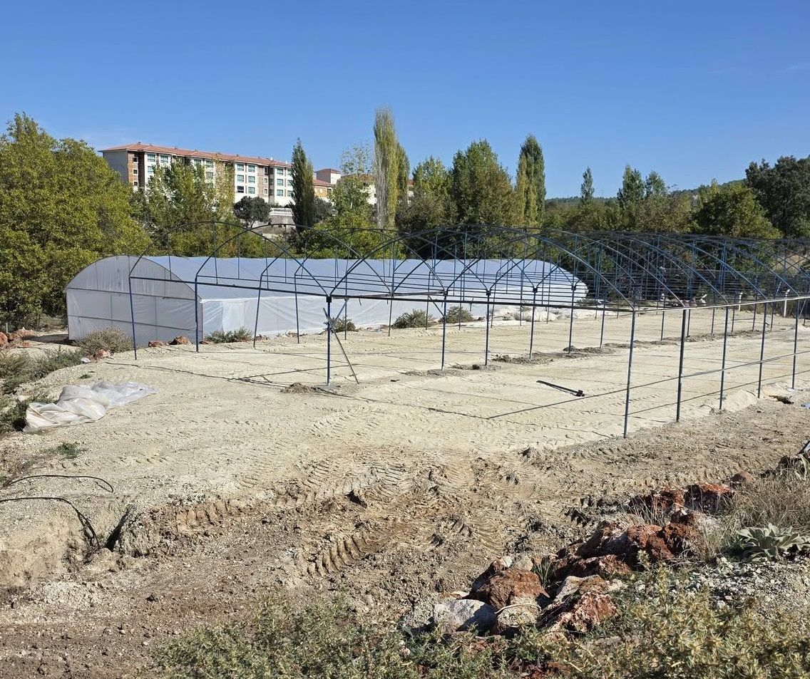 Belediye Termal (2)