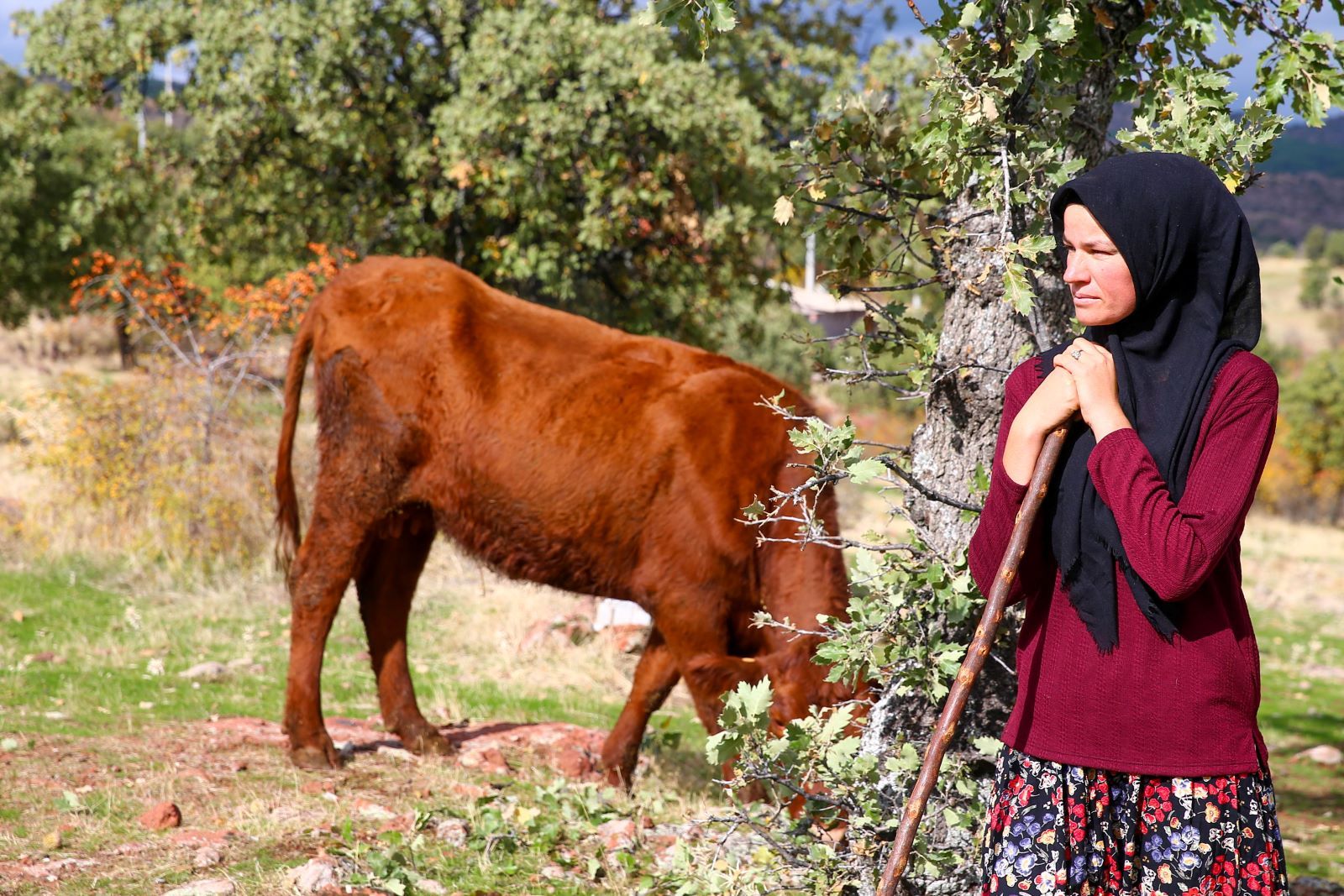 Besihane (2)