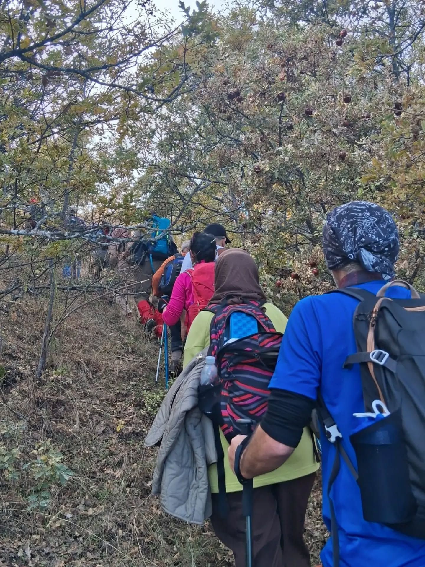 Doğaseverler (4)