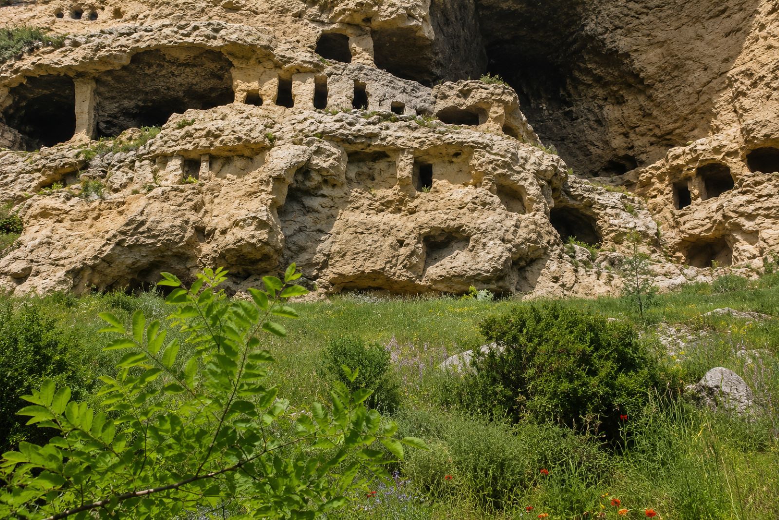 Pepuza-8