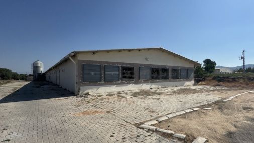Yatırım (3)