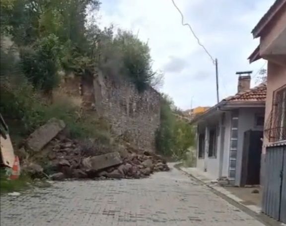 Yol1-1